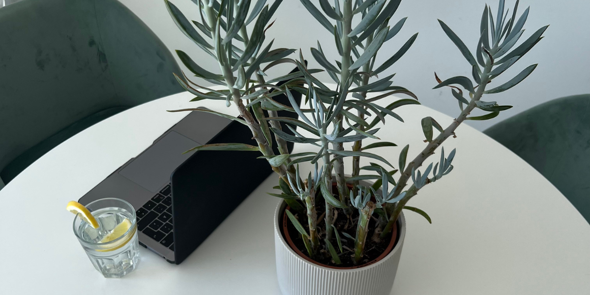 Der Designprozess für Siebdruck, bei dem das Motiv erstellt und für den Druck auf Textilien vorbereitet wird.